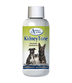 KidneyTone 120 ml | Safest & Easiest Shopping Vitamins Online | VITASHOP