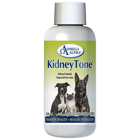 Omega Alpha KidneyTone 120 ml | Unbeatable Prices, Daily Deals | VITASHOP