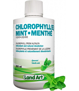 Land Art Chlorophyll(e) Conc. 5X Mint 500 ml | Unbeatable Prices, Daily Deals | VITASHOP