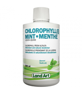 Land Art Chlorophyll Mint 500 ml | Unbeatable Prices, Daily Deals | VITASHOP