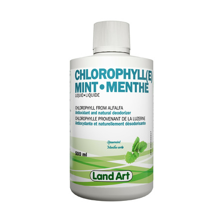Land Art Chlorophyll Mint 500 ml | Unbeatable Prices, Daily Deals | VITASHOP