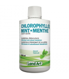 Land Art Chlorophyll Mint 500 ml | Unbeatable Prices, Daily Deals | VITASHOP