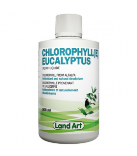 Land Art Chlorophyll Eucalyptus 500 ml | Unbeatable Prices, Daily Deals | VITASHOP