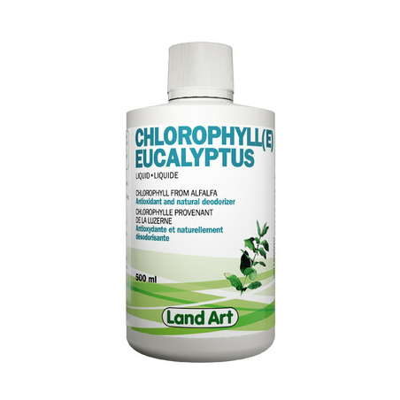 Chlorophyll Eucalyptus 500 ml | Safest & Easiest Shopping Vitamins Online | VITASHOP