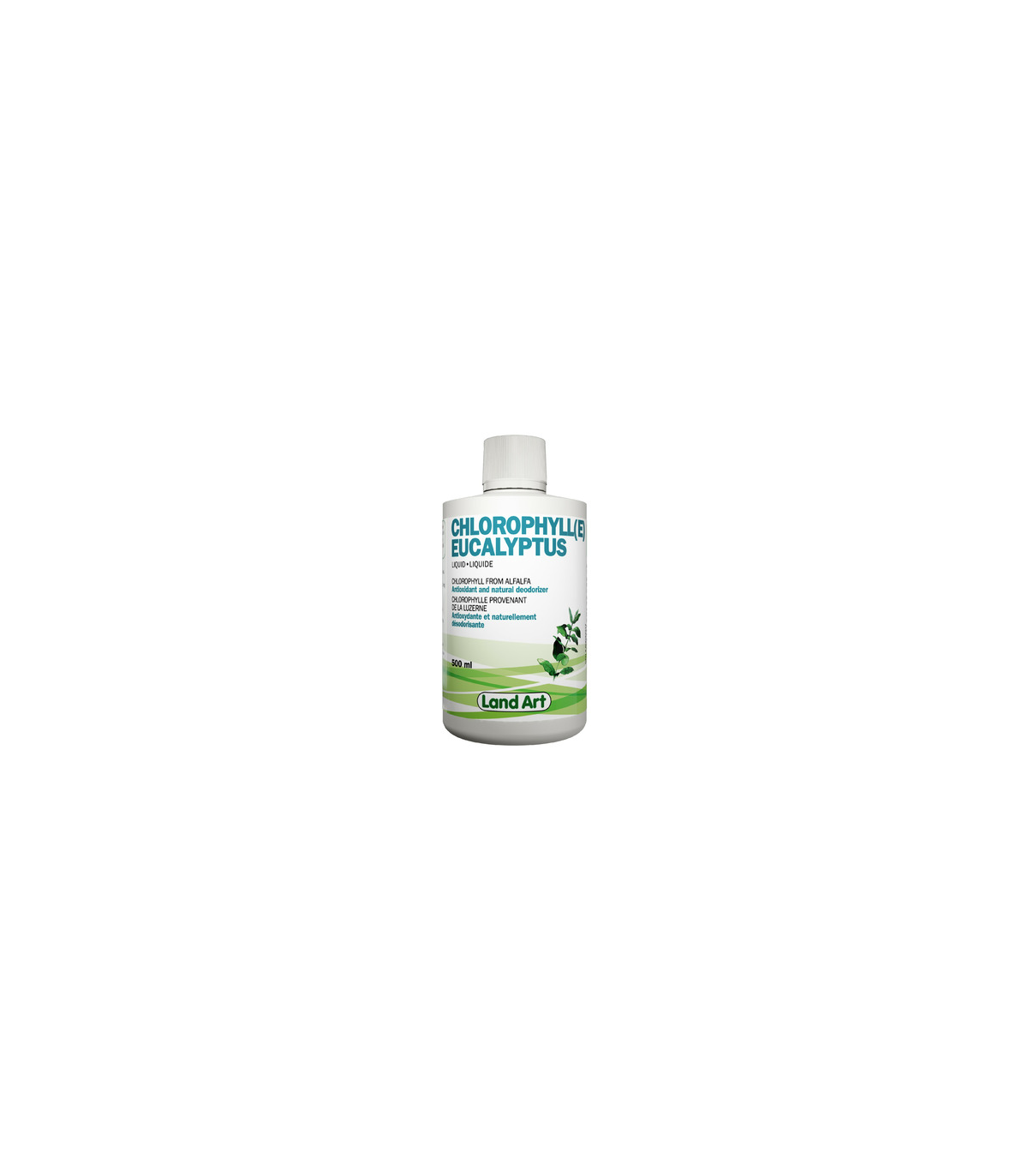 Chlorophyll Eucalyptus 500 ml | Safest & Easiest Shopping Vitamins Online | VITASHOP
