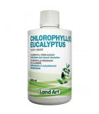 Chlorophyll Eucalyptus 500 ml | Safest & Easiest Shopping Vitamins Online | VITASHOP