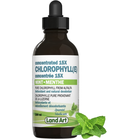 Land Art 랜드아트 엽록소 농축 15X 민트 100ml | 매일 업데이트되는 특가 상품 | VITASHOP