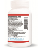 Garlic 500 120 Softgels | Safest & Easiest Shopping Vitamins Online | VITASHOP