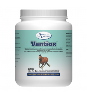Omega Alpha Vantiox 500 g | 每天不同折扣, 全网最低价格 | 种类齐全的保健品店铺 VITASHOP, 只有你想不到, 没有你买不到 !