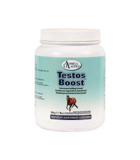 Testos Boost 500 g | Safest & Easiest Shopping Vitamins Online | VITASHOP