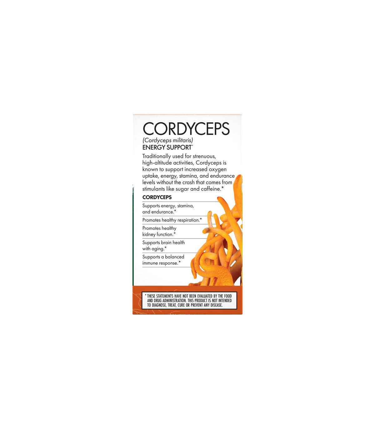 Cordyceps (Cordyceps Mycelium) 30 Capsules | Safest & Easiest Shopping Vitamins Online | VITASHOP