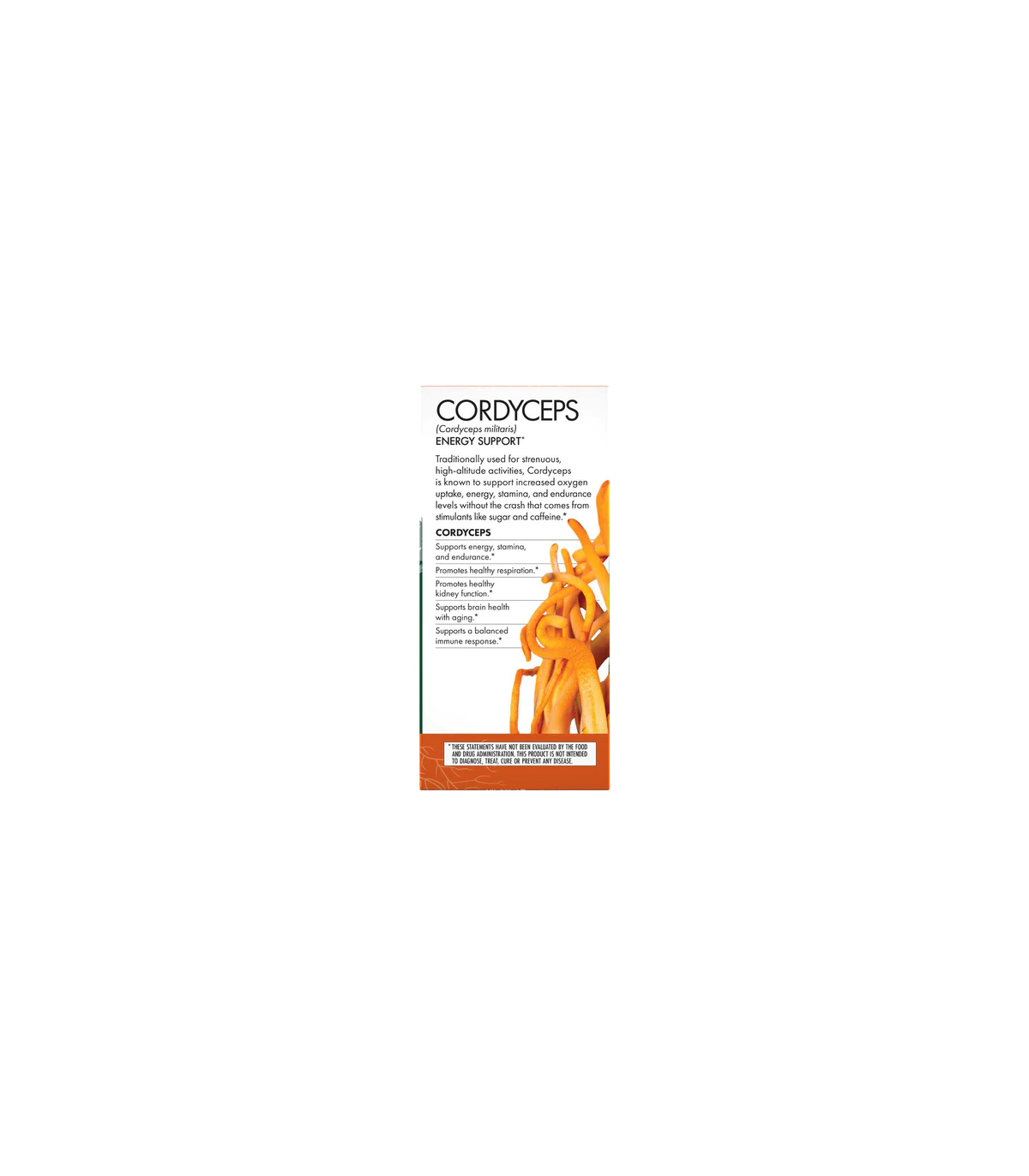 Cordyceps (Cordyceps Mycelium) 60 Capsules | Safest & Easiest Shopping Vitamins Online | VITASHOP