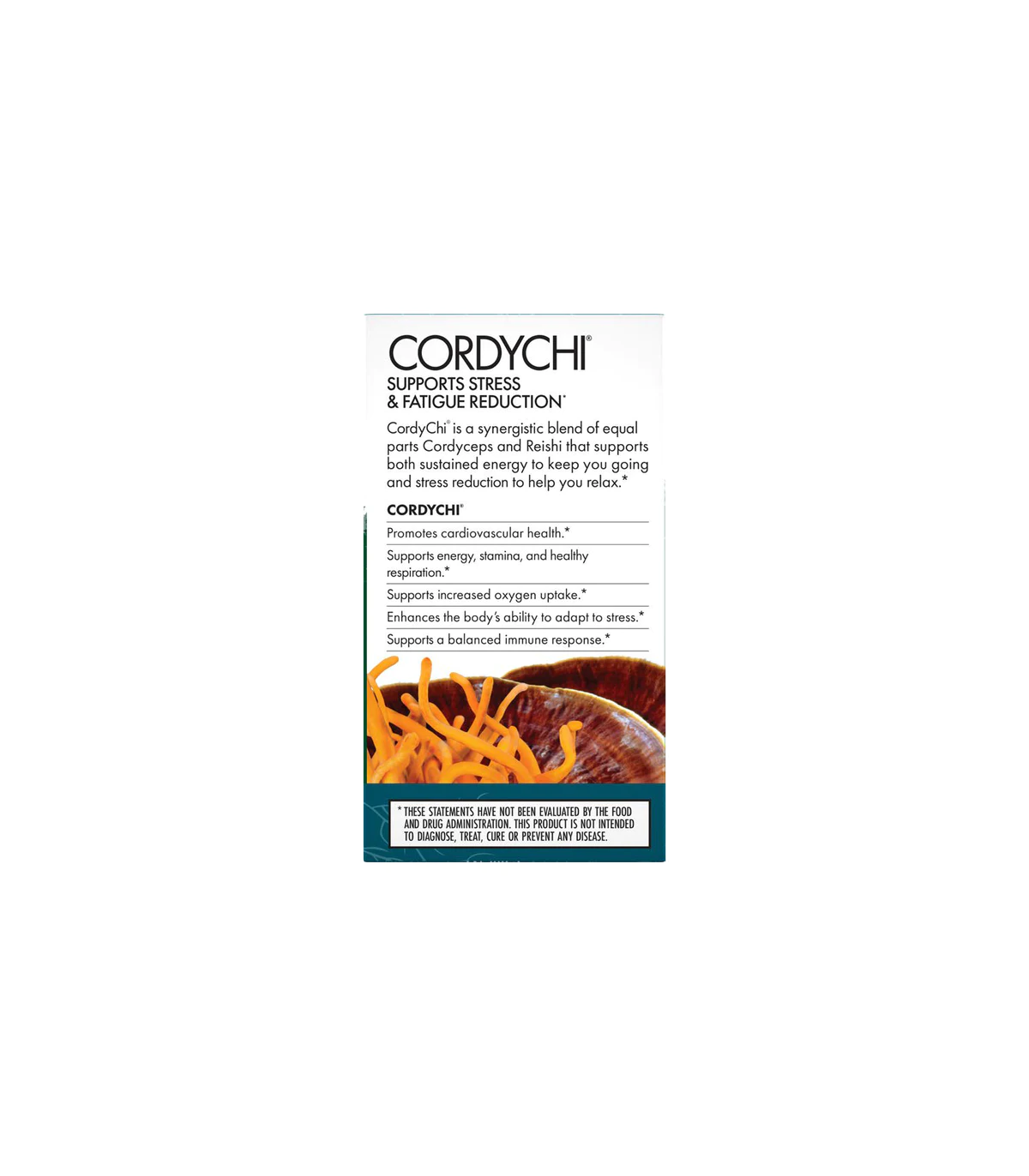 HOST DEFENSE 호스트 디펜스 Cordychi (Reishi & Cordyceps) 30 캡슐 | 매일 업데이트되는 특가 상품 | VITASHOP