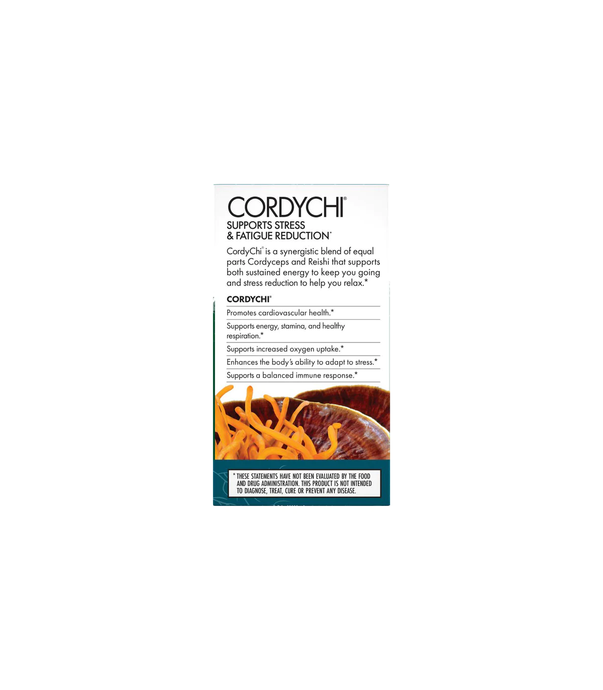 HOST DEFENSE 호스트 디펜스 Cordychi (Reishi & Cordyceps) 30 캡슐 | 매일 업데이트되는 특가 상품 | VITASHOP