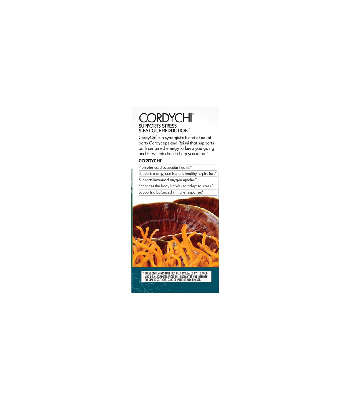 HOST DEFENSE 호스트 디펜스 Cordychi (Reishi & Cordyceps) 60 캡슐 | 매일 업데이트되는 특가 상품 | VITASHOP