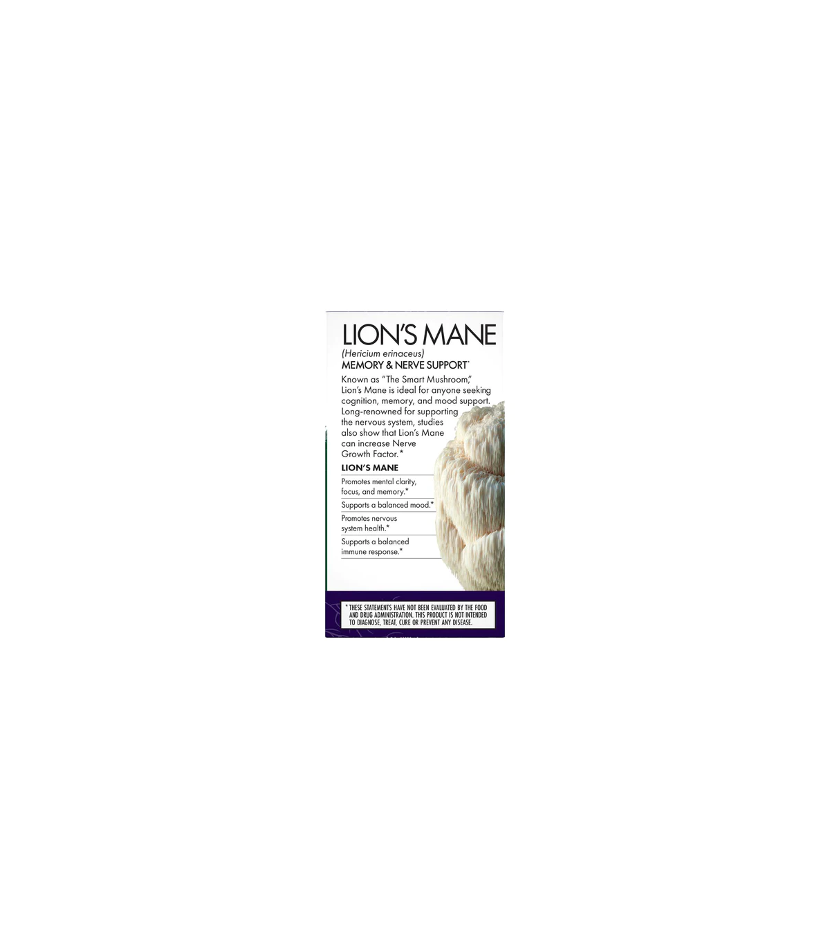HOST DEFENSE Lion's Mane (Hericium Erinaceus) 30 Capsules | Unbeatable Prices, Daily Deals | VITASHOP