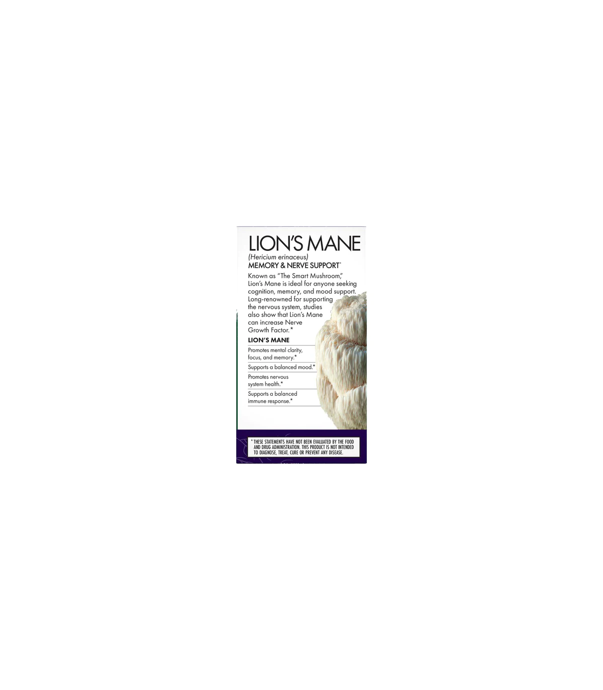 HOST DEFENSE Lion's Mane (Hericium Erinaceus) 60 Capsules | Unbeatable Prices, Daily Deals | VITASHOP