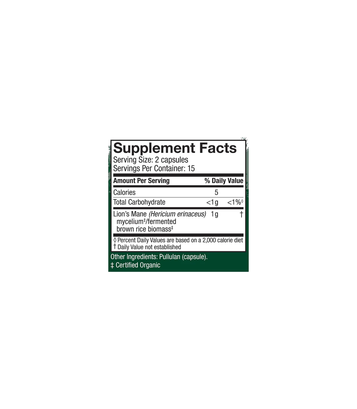 HOST DEFENSE Lion's Mane (Hericium Erinaceus) 60 Capsules | Unbeatable Prices, Daily Deals | VITASHOP