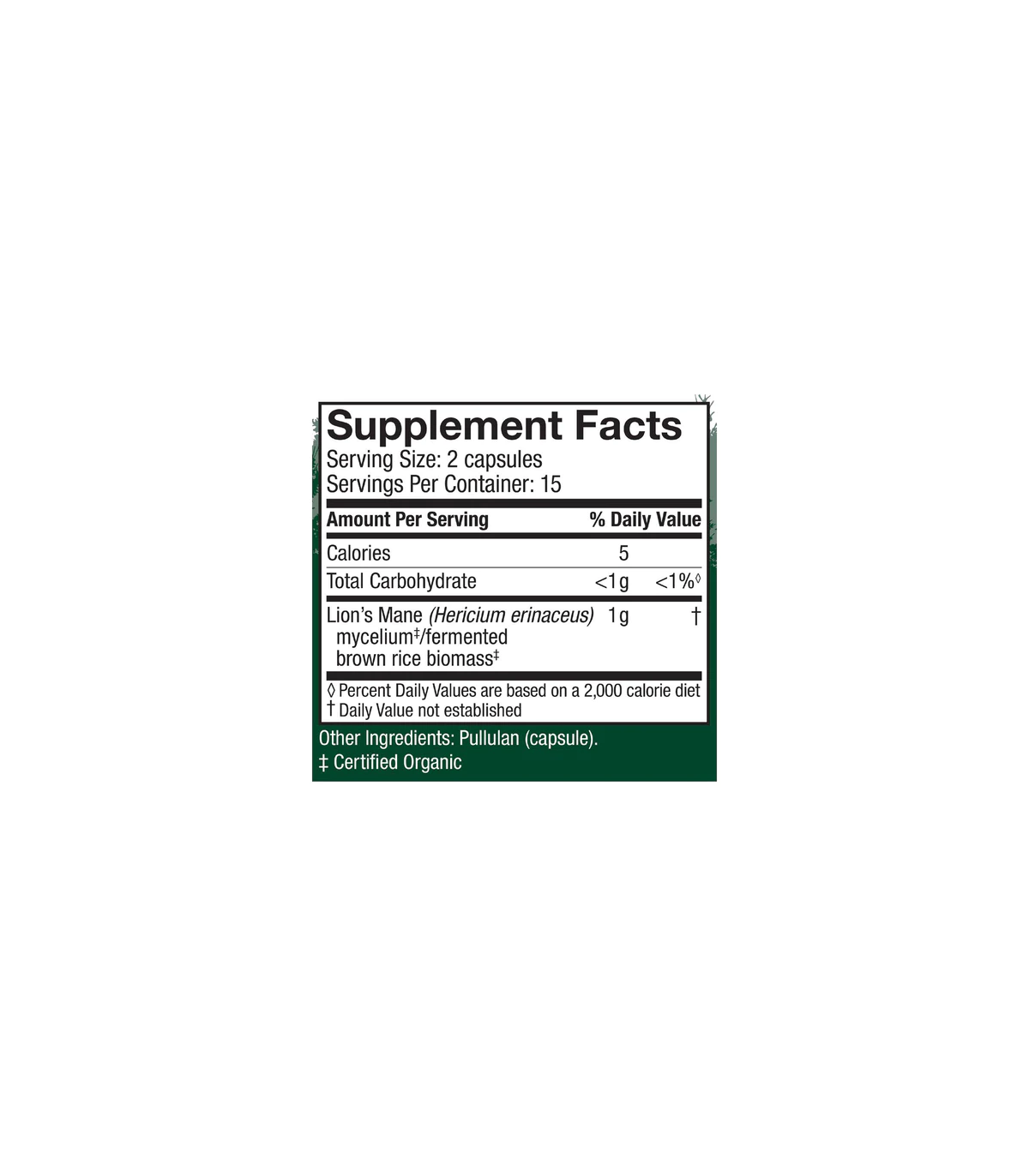Lion's Mane (Hericium Erinaceus) 120 Capsules | Safest & Easiest Shopping Vitamins Online | VITASHOP