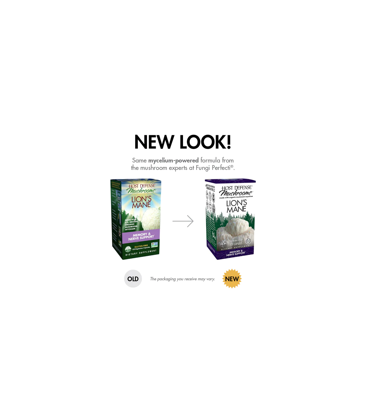 Lion's Mane (Hericium Erinaceus) 120 Capsules | Safest & Easiest Shopping Vitamins Online | VITASHOP