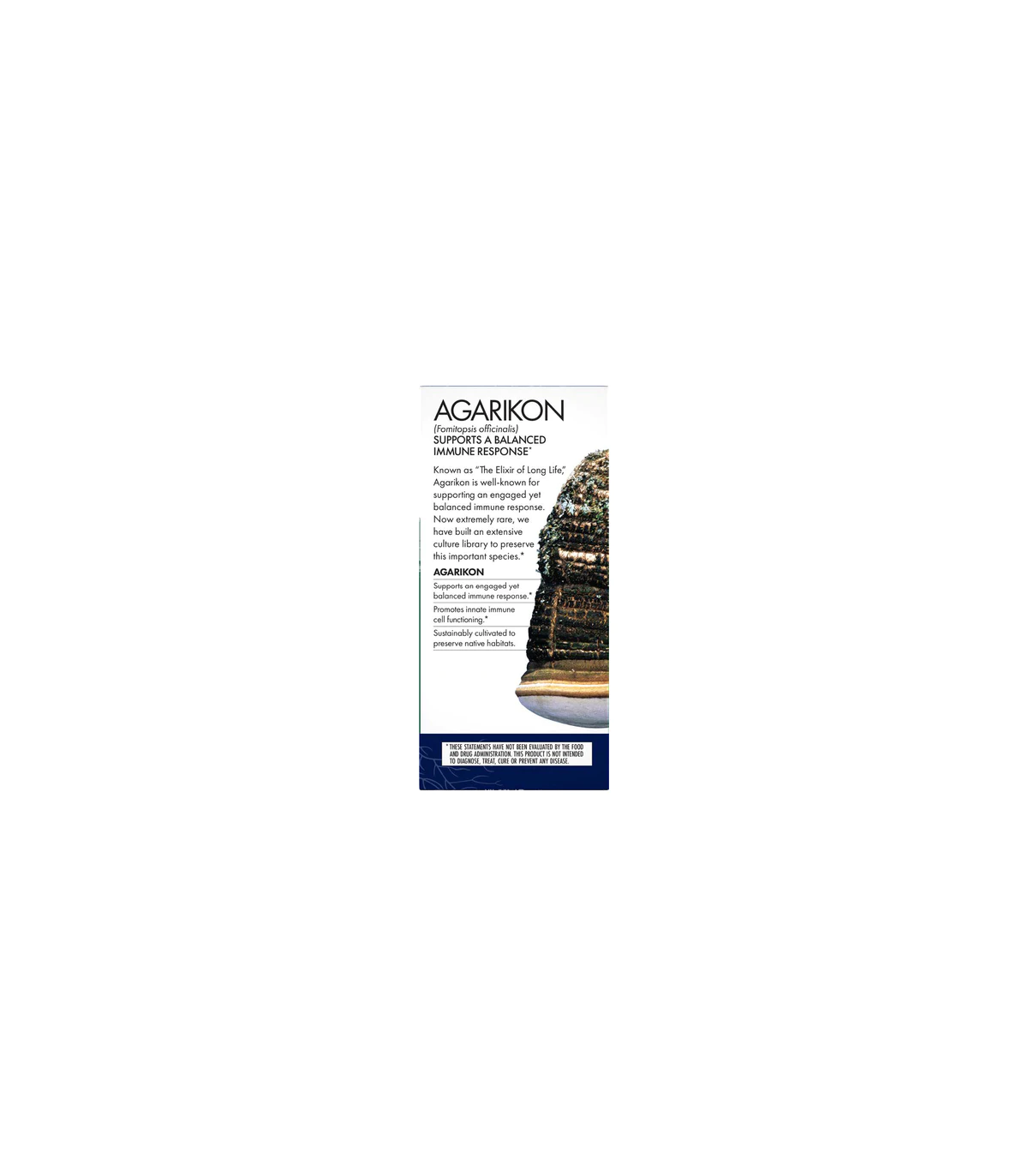 HOST DEFENSE Agarikon (Fomitopsis Officinalis) 60 Capsules | Unbeatable Prices, Daily Deals | VITASHOP