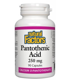 Natural Factors 내추럴 팩터스 판토텐산 250 mg, 90 캡슐 | 매일 업데이트되는 특가 상품 | VITASHOP