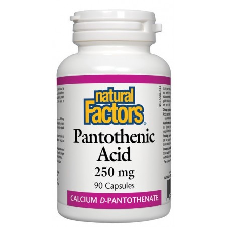 Natural Factors Pantothenic Acid 250 mg, 90 Capsules | Unbeatable Prices, Daily Deals | VITASHOP