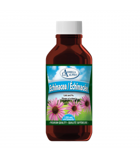 Omega Alpha Echinacea Adult Natural 120 ml | Unbeatable Prices, Daily Deals | VITASHOP