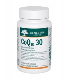 Genestra 제네스트라 CoQ10 30 90 캡슐 | 매일 업데이트되는 특가 상품 | VITASHOP
