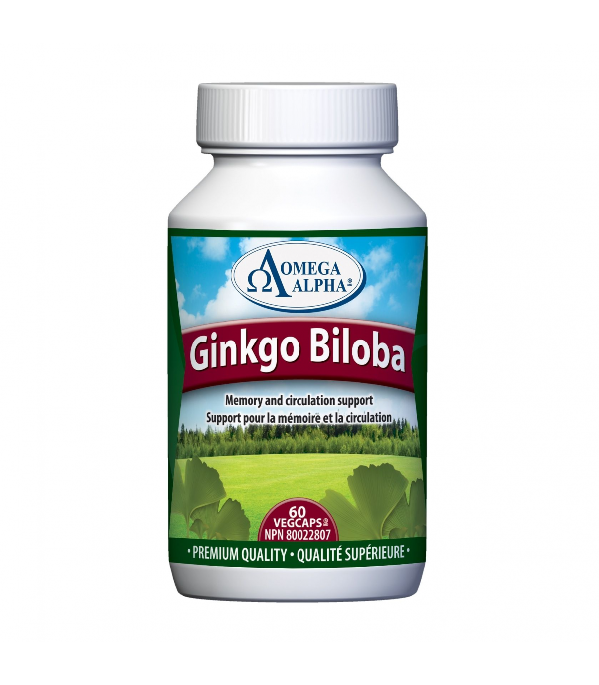 Omega Alpha 오메가 알파 Ginkgo Biloba Standardized 60 Vagi 캡슐 | 매일 업데이트되는 특가 상품 | VITASHOP