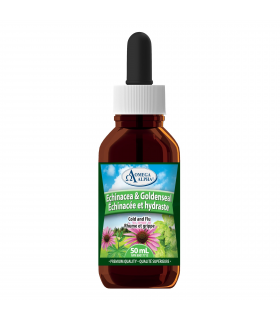 Omega Alpha Echinacea & Goldenseal Natural 50 ml | Unbeatable Prices, Daily Deals | VITASHOP