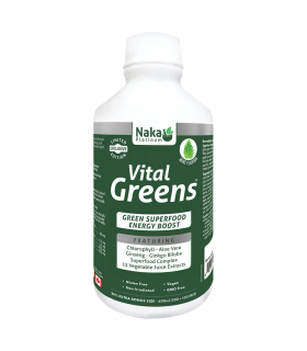 Naka 나카 플래티넘 바이탈 그린 600ml | 매일 업데이트되는 특가 상품 | VITASHOP