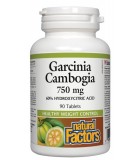 Garcinia Cambogia 750 mg, 90 comprimés | Safest & Easiest Shopping Vitamins Online | VITASHOP