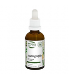 St. Francis Herb Farm Andrographis 50 mL | Unbeatable Prices, Daily Deals | VITASHOP