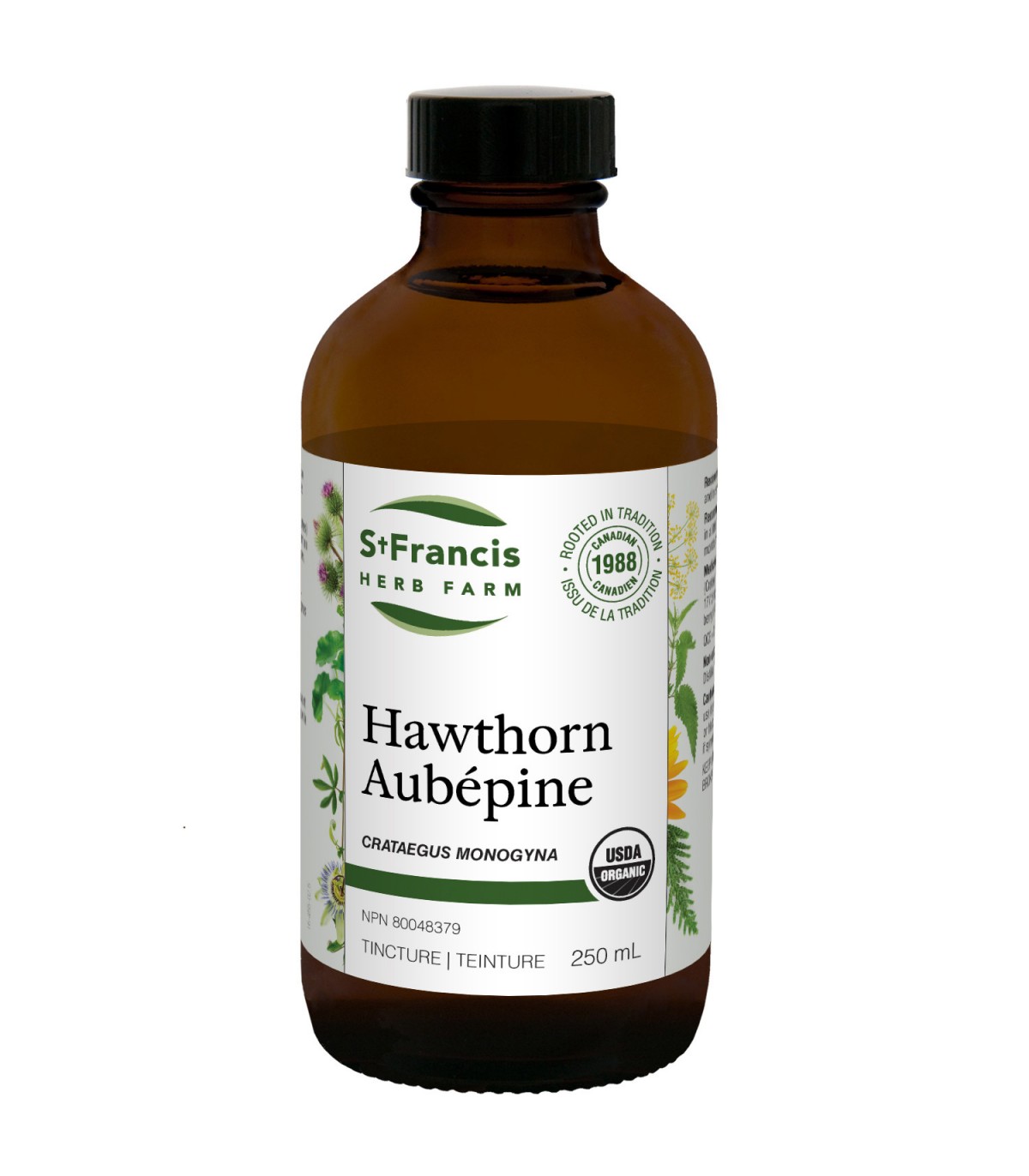 Hawthorn 250 mL | Safest & Easiest Shopping Vitamins Online | VITASHOP