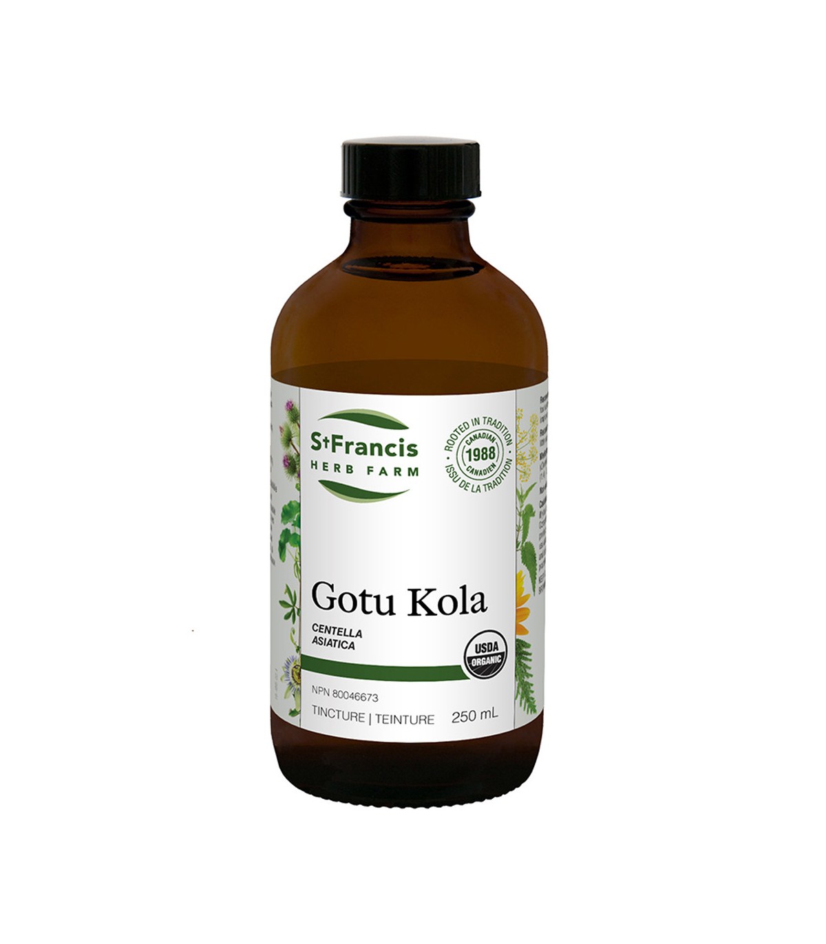 Gotu Kola 250 mL | Safest & Easiest Shopping Vitamins Online | VITASHOP