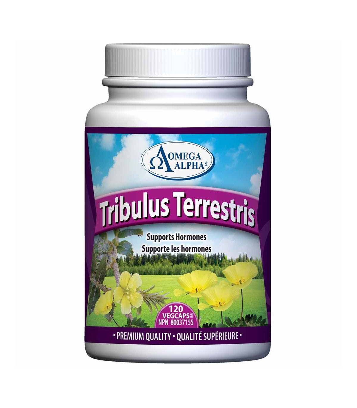 Omega Alpha 오메가 알파 Tribulus Terrestris 120 Vagi 캡슐 | 매일 업데이트되는 특가 상품 | VITASHOP