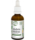 St. Francis Herb Farm Mullein 50 mL | Unbeatable Prices, Daily Deals | VITASHOP