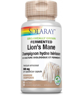 Fermented Lion's Mane Mushroom 60 Capsules | Safest & Easiest Shopping Vitamins Online | VITASHOP