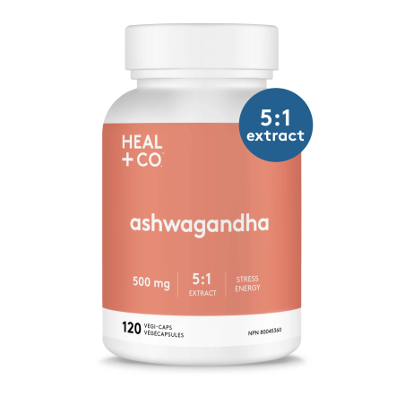 HEAL + CO. 힐플러스 Ashwagandha (5:1 추출물) 500 mg 120 식물성 캡슐 | 매일 업데이트되는 특가 상품 | VITASHOP