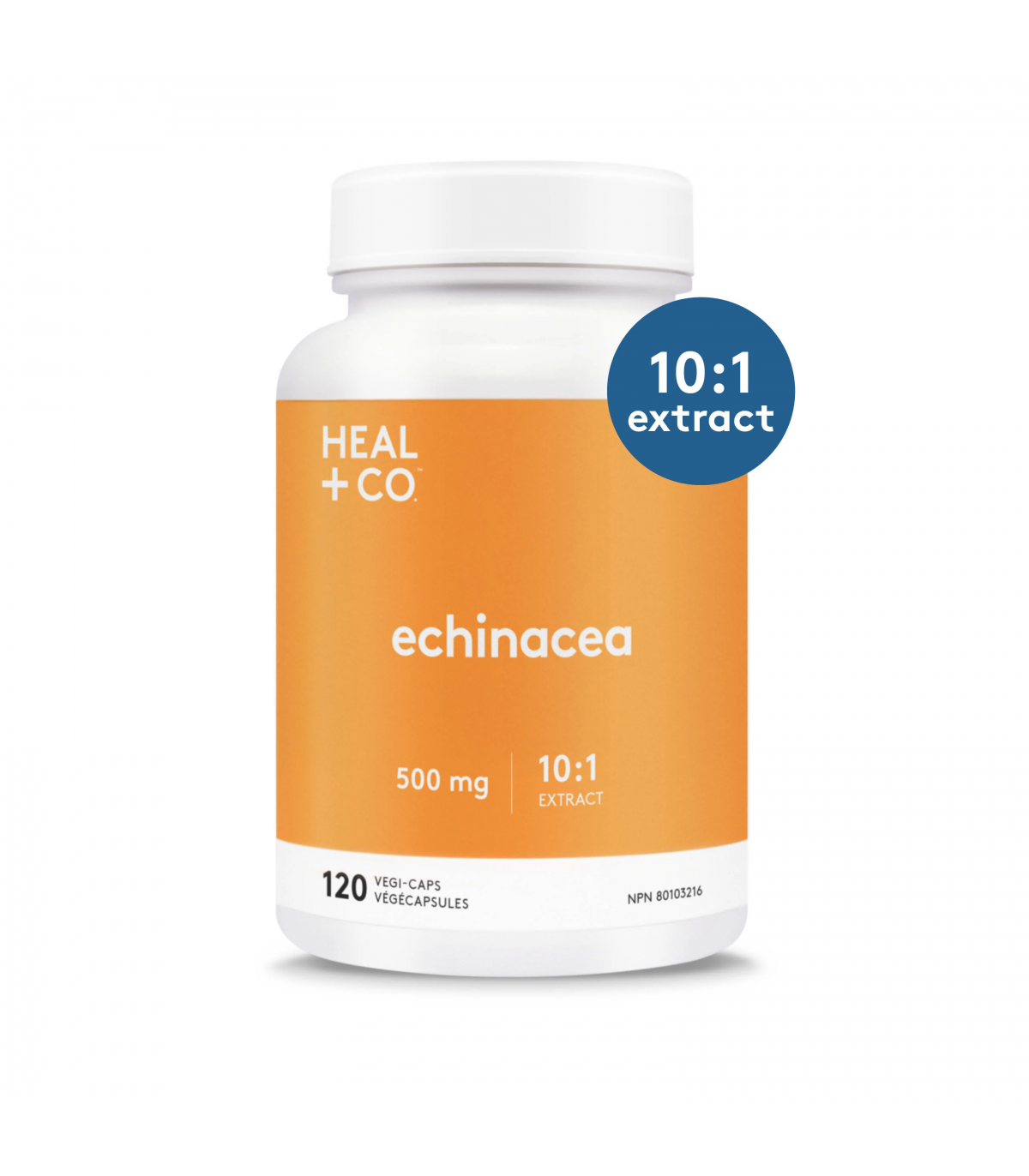 HEAL + CO. 힐플러스 에키네시아(10:1 추출물) 500mg 베지 캡슐 120정 | 매일 업데이트되는 특가 상품 | VITASHOP