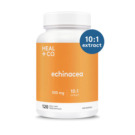 HEAL + CO. Echinacea (10:1 extract) 500 mg 120 Vegi Capsules | Unbeatable Prices, Daily Deals | VITASHOP