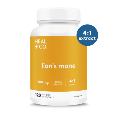 Lion's Mane (4:1) 500 mg 120 Vegi Capsules | Safest & Easiest Shopping Vitamins Online | VITASHOP
