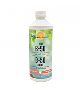 Liquid B-50 473 ml | Safest & Easiest Shopping Vitamins Online | VITASHOP
