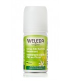Weleda 웰레다 시트러스 24h 롤온 데오도란트 50ml | 매일 업데이트되는 특가 상품 | VITASHOP