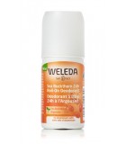 Weleda 웰레다 씨벅톤 24시간 롤온 데오도란트 50ml | 매일 업데이트되는 특가 상품 | VITASHOP