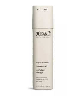 ATTITUDE 애티튜드 피토 클렌징 페이스 스크럽 30g | 매일 업데이트되는 특가 상품 | VITASHOP