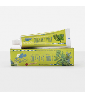 Green Beaver Co. Cilantro Mint Toothpaste 75 ml | Unbeatable Prices, Daily Deals | VITASHOP