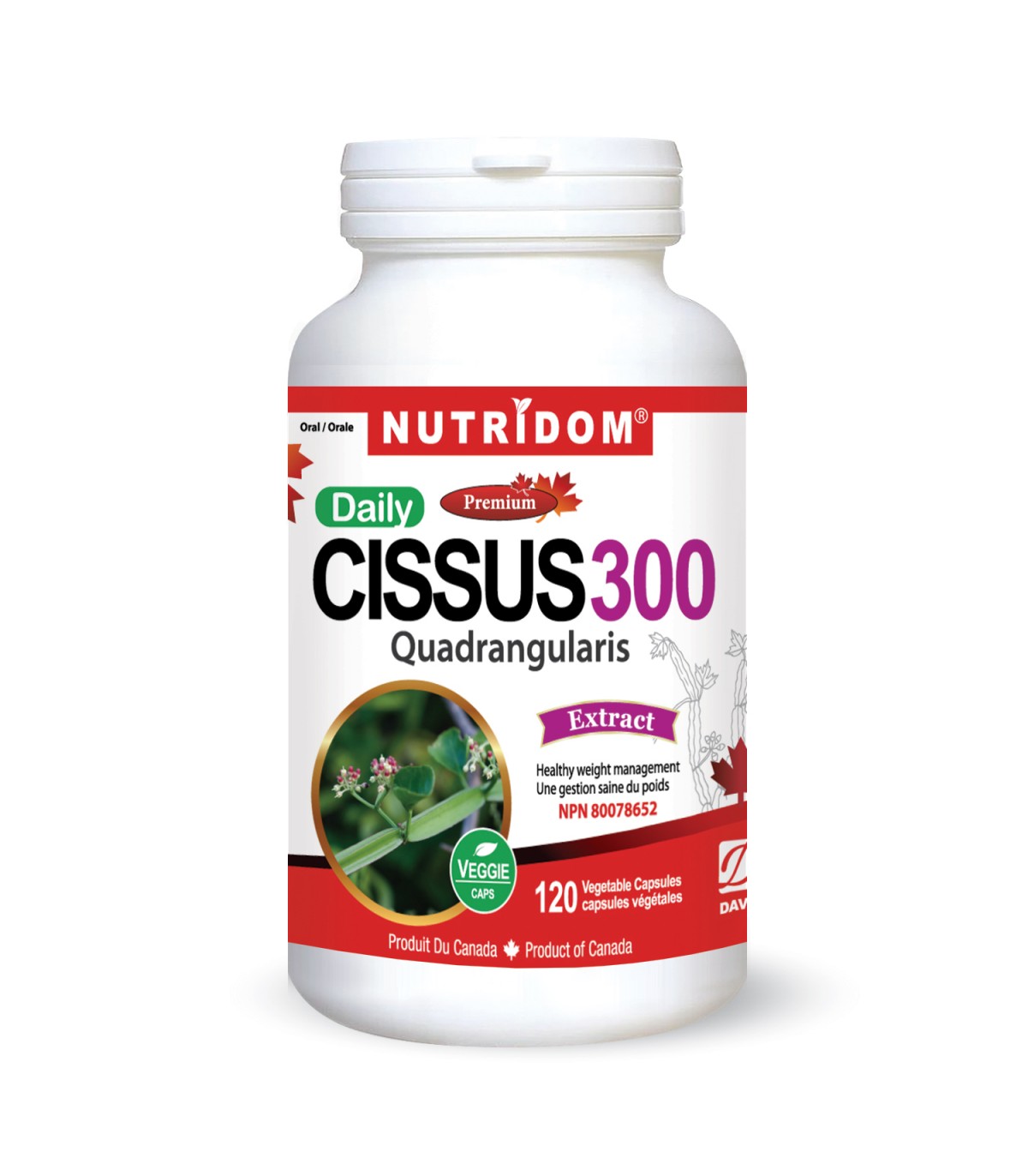 Cissus 300 Quadrangularis 120Vcaps