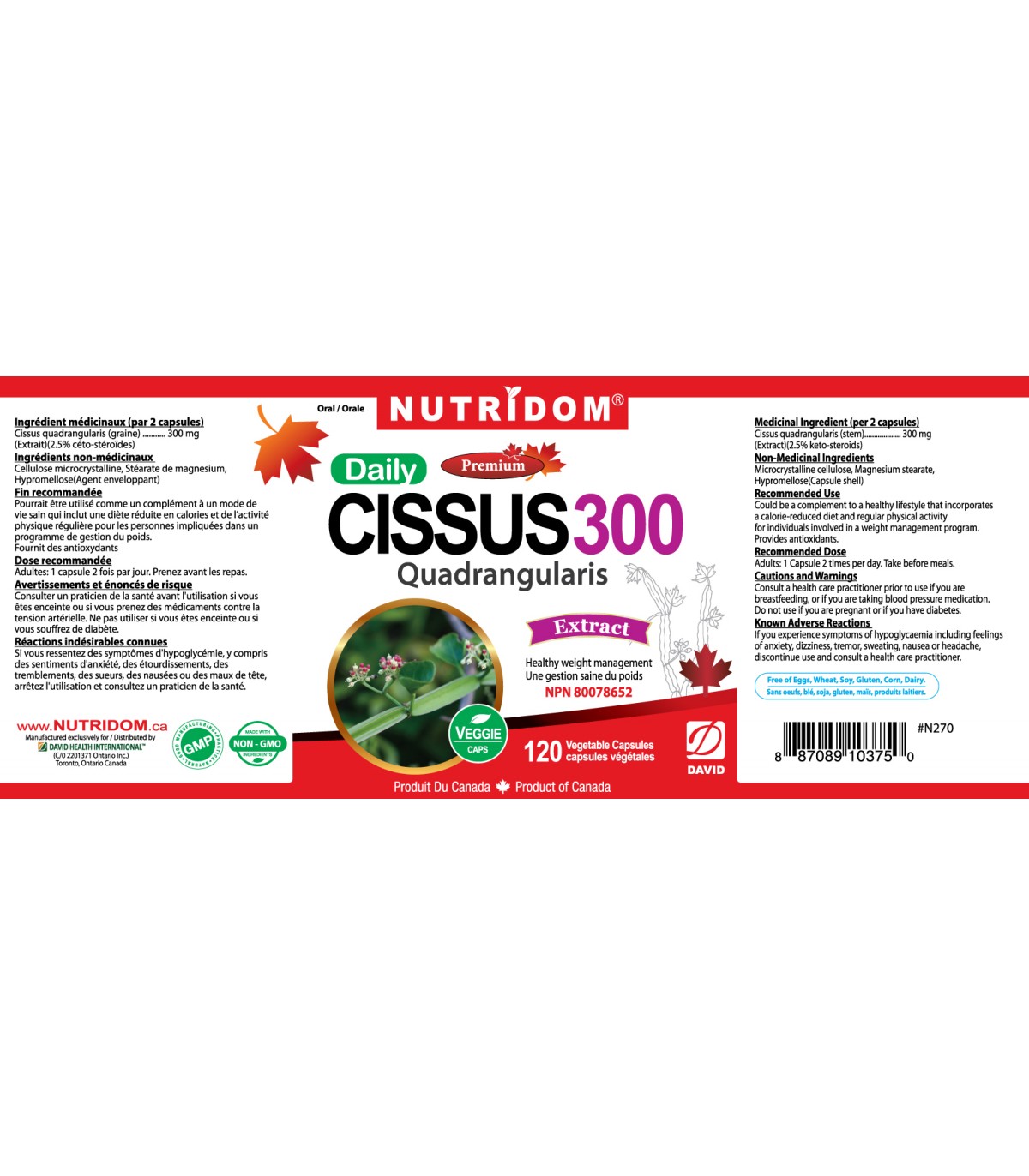 Cissus 300 Quadrangularis 120Vcaps